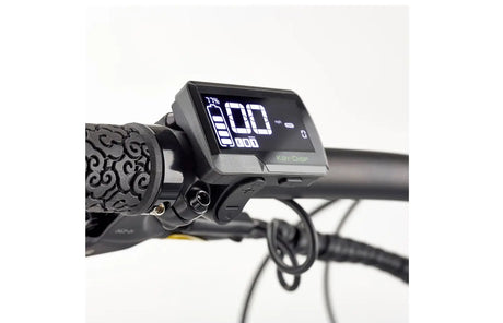 EZEGO Trail Destroyer eBike 17"