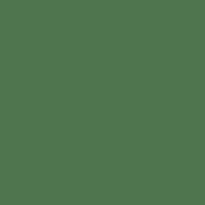 TRACTOL Fendt Green High Gloss Paint (T32729J) 1 Litre - Durable Finish for Agricultural & Construction Equipment - MK76