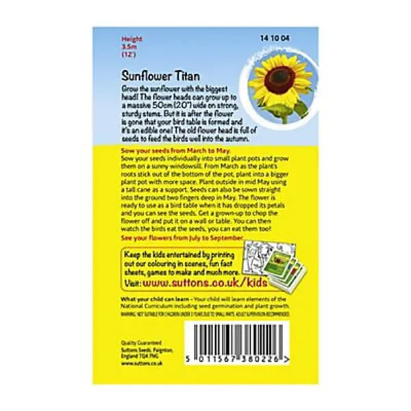 Bird Table Flower Seeds