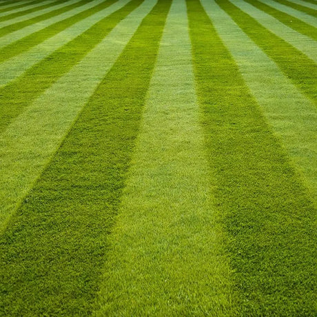 Hygeia Greenforce 4 in 1 Lawn Feed, Weed & Mosskiller 15kg