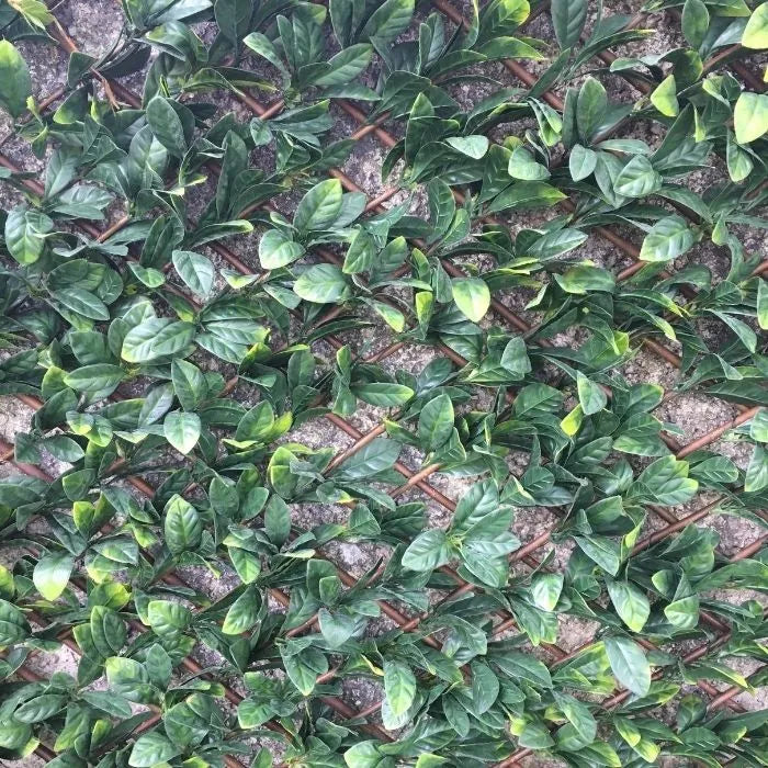 GreenFx Savanna Artificial Hedge - 1m x 2m