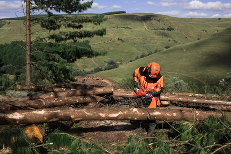 Husqvarna 565 Professional 71 cc Petrol Chainsaw