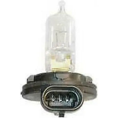 Honda Bulb For TRX 350, 500 Models