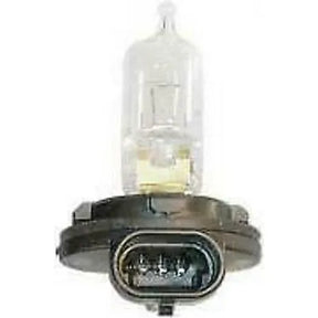 Honda Bulb For TRX 350, 500 Models
