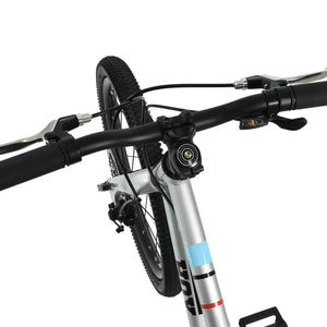 Hoy Pentland 20″ Kids Bike - Titanium Silver