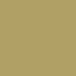 Tractol Zetor Beige 1L – High Gloss Agricultural Machinery Paint - MK43