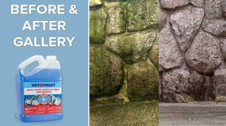Wet & Forget 20 Litre Mould, Moss, Algae & Lichen Remover