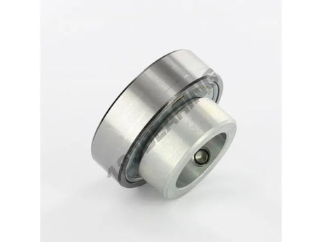RAE30NPP 30mm INA Bearing Insert 