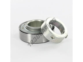 RAE30NPP 30mm INA Bearing Insert 