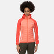 Regatta Women's Andreson VI Hybrid Insulated Quilted Jacket Coral