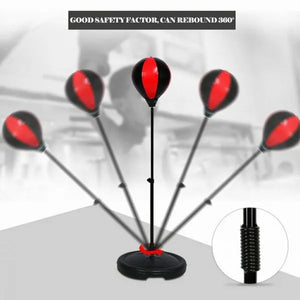 Punchball, Gloves & Stand