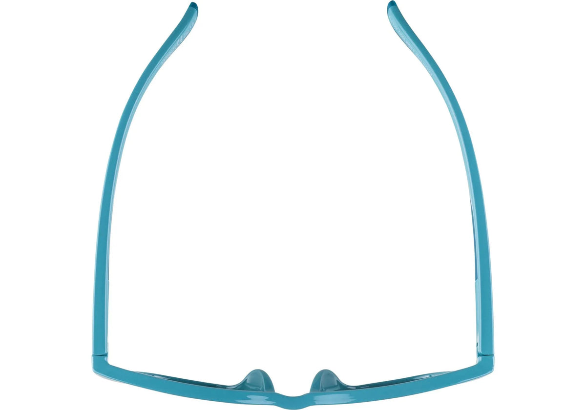 Alpina Sunglasses Kids Blue