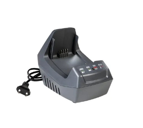 Oleo Mac GSi 30 Battery Chainsaw Kit