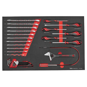 Teng Tools Tool Kit 179 Piece Roller Cabinet Eva Set