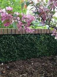 GreenFx Savanna Artificial Hedge - 1m x 2m
