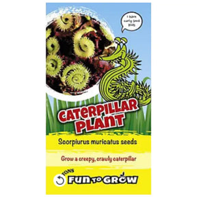 Caterpillar Plant Seeds
