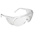 Visispec Clear Standard Eye Shield
