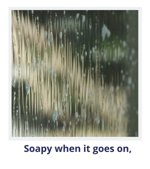 Wet & Forget Window - New Improved Formula